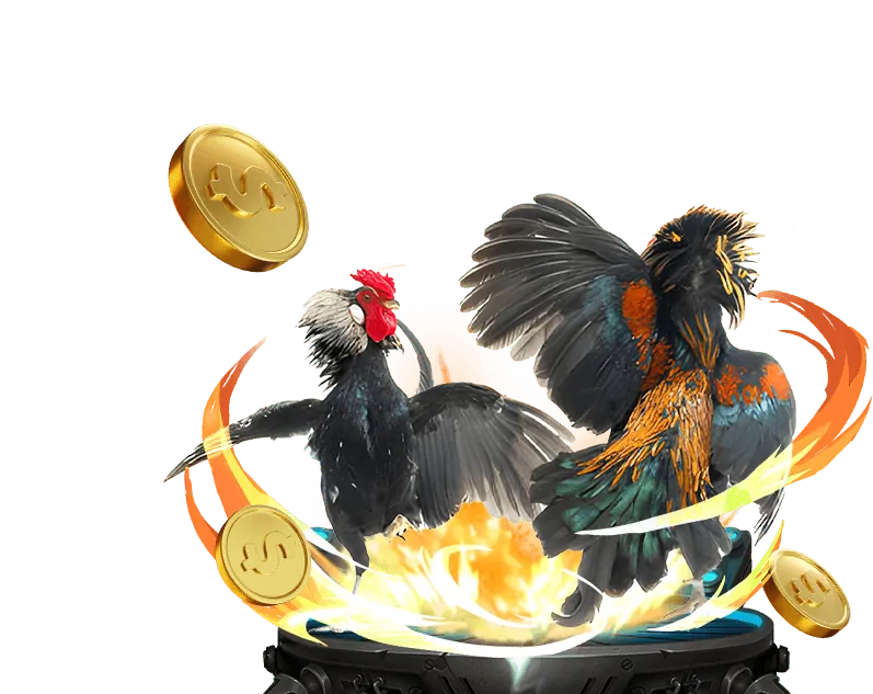 Tham gia Câu lạc bộ VIP