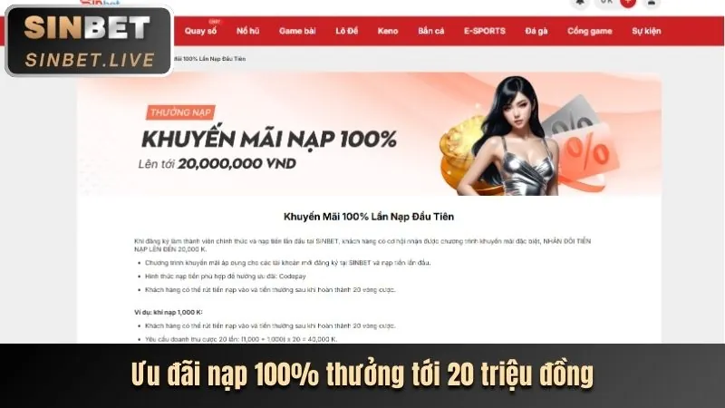 Ưu đãi độc quyền VIP